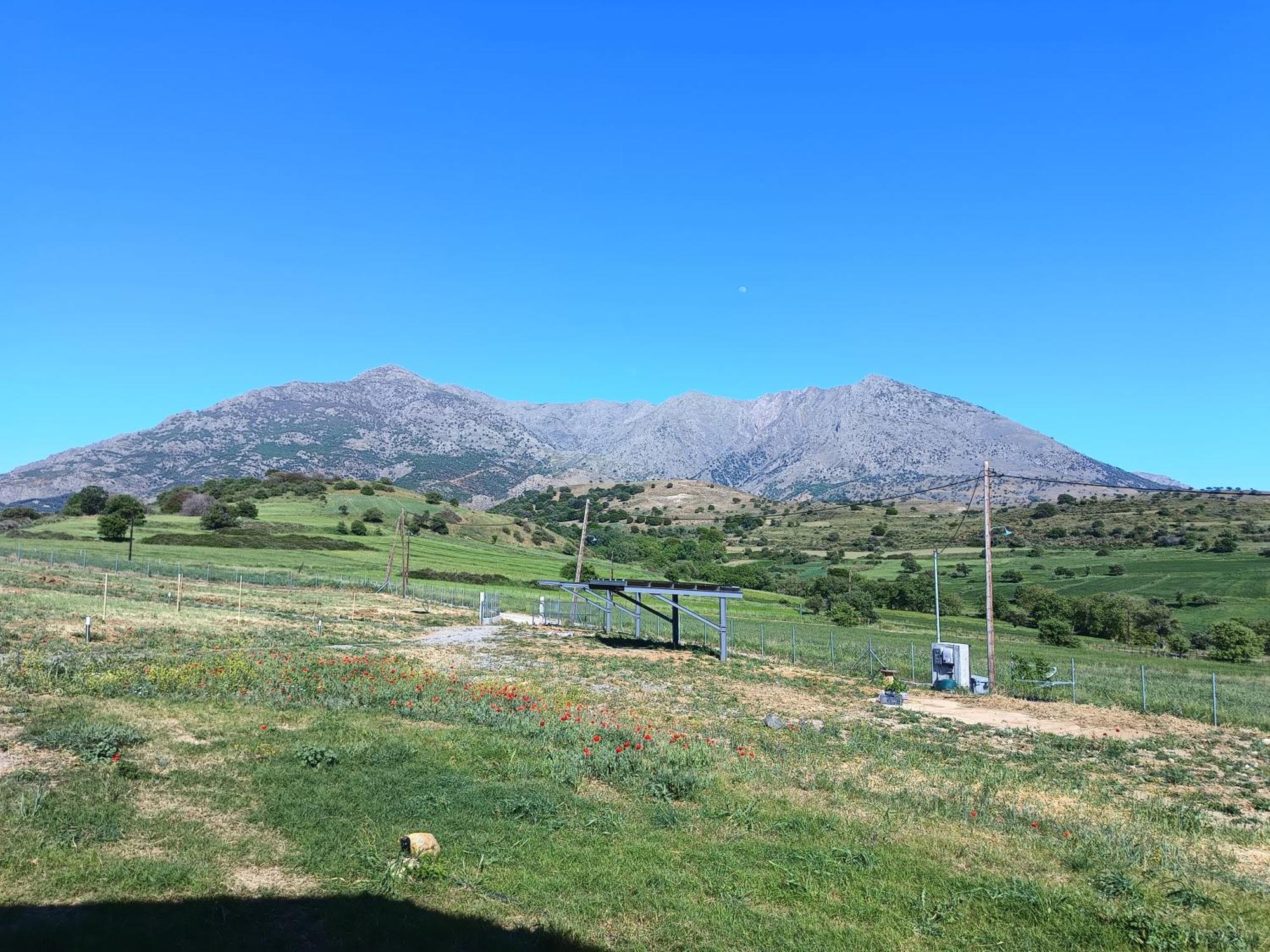 Pezoulia Cottages Samothraki Luaran gambar